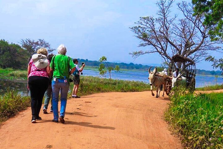 Sigiriya Rock Fortress